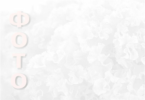 icon - /uploads/s/x/j/h/xjh1wnnk6gjx/img/full_Q6D9hY36.jpg